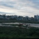 남대천식당 티스토리