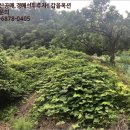 수산2리 다목적회관 이미지