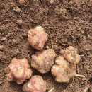 바람결에-해빙 이미지