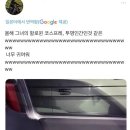 D00585 이미지
