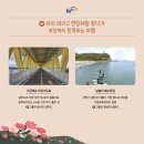 지사식당 이미지