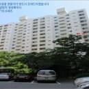 하단동1175 이미지