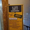 도그앤미 이미지