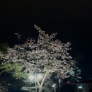 야미사