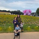 백제문화제 행사장 | 공주 백제문화제 후기 | 주차, 체험, 먹거리까지 완벽 정리