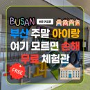 초록빛유치원 | 부산 과학체험관 주말 6세 아이랑 반나절 후기