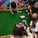 대림햇살어린이집 이미지