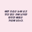 은은해