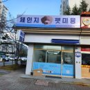 체인지펫미용 이미지