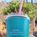 포인트빌