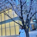 건강근력운동 | [소사PT 괴안동PT 메이짐 ]건강해지는 근력 운동 후 벚꽃놀이 다녀오세요.