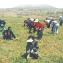 고사리 쉼터 이미지