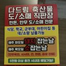 [홍천정육점] 소돼지 다 있는 다드림축산물 도소매직판장 솔직후기