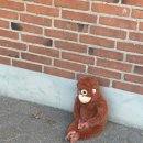 웰하우스 이미지