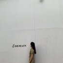 드메인(DEMAIN) 네이버블로그