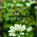 퀘렌시아 이미지