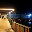 서신레저바다낚시터 이미지