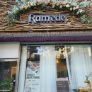 메드스파인(주) 이미지