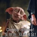 뷰티인디셈버