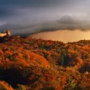 베이(bay) 이미지