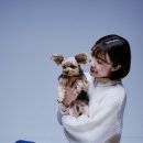 에트르스튜디오 이미지