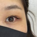 내동지구대 | 대전 서구 용문동속눈썹 연장 잘하는 곳 아이써니