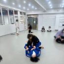 MMA주짓수 | 청천동격투기 합성태권도장 / 팀레드폭스 주짓수&amp;MMA 이용후기