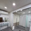 매화관광농원캠핑장 | 괴강관광농원 캠핑장 후기 아이와 가기 좋은 충북 가족캠핑장 추천