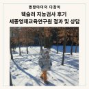 웩슬러 지능검사 후기 세종영재교육연구원 결과 및 상담