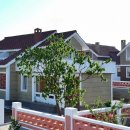 장교농장 이미지