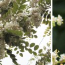 너더리길 이미지