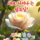 불변의 세가지 진리 이미지