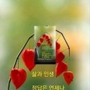 비따