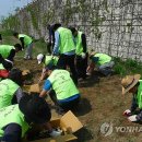 공지천 산책로 이미지