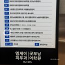 문화카클리닉 | 대전 둔산동 미용실 에이노이헤어 2호점 시카 헤어클리닉 후기