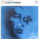 11월16일 손기정 평화마라톤 참가자 안내 이미지