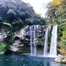 천지연폭포 이미지