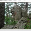 어단1리 이미지