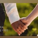 탱고픽처스