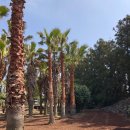 힐링플라워 클래스 이미지