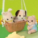 귀여운 강아지 이미지