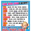 빙그레꽈베기 이미지
