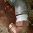 신사운전길 이미지