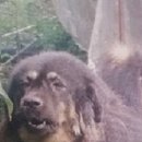 국립농산물품질관리원 전북지원 무주사무소 이미지