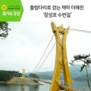 **청마산악회 제71차 정기산행 장성호트레킹 및 황룡강 노란꽃축제** 이미지