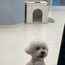 위드뚜뚜 이미지