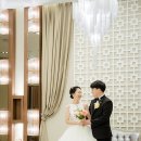 브로스냅 이미지