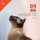 미송다방