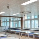 밀양초등학교 이미지