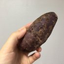 신해남농장 이미지